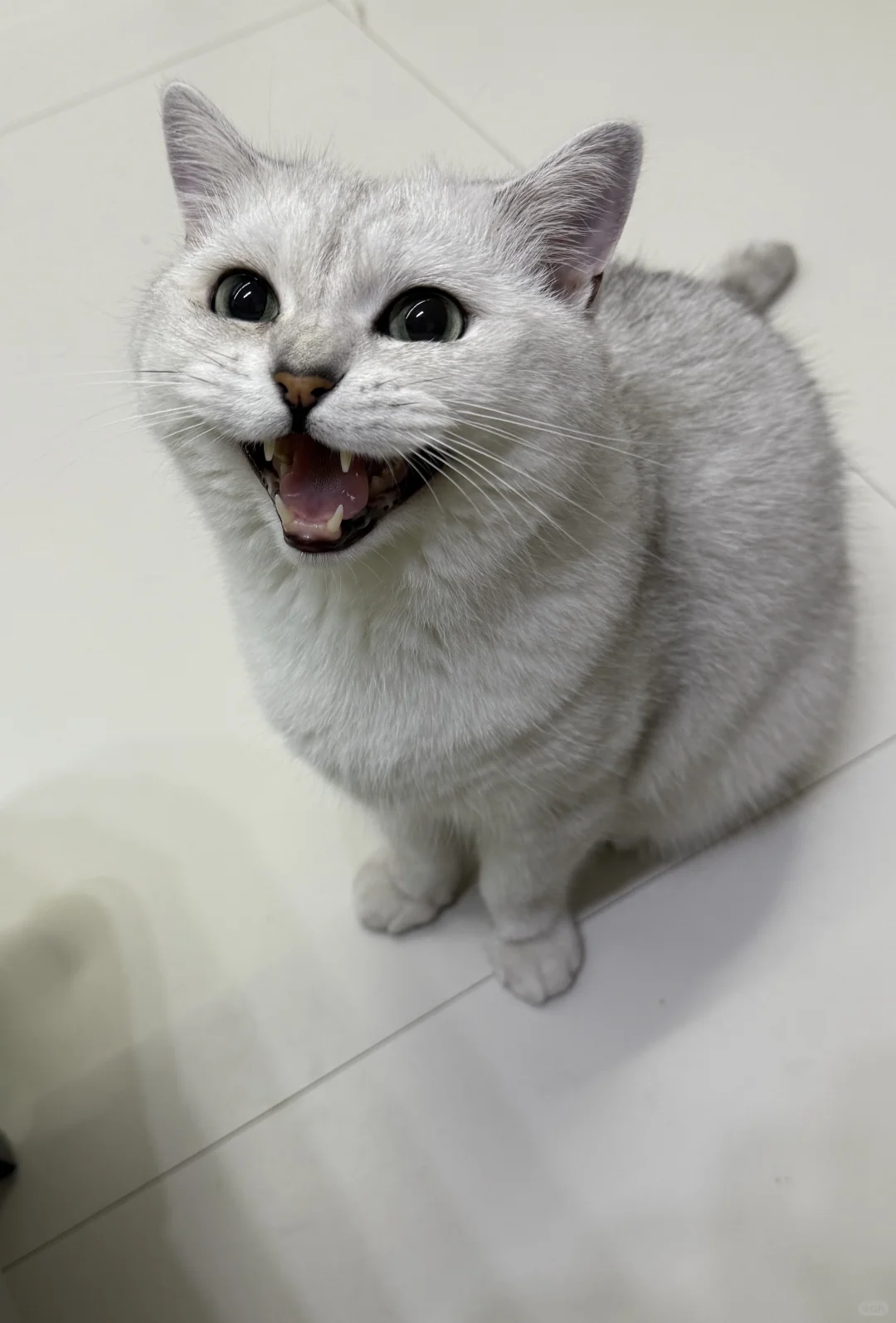 求租两室一厅！