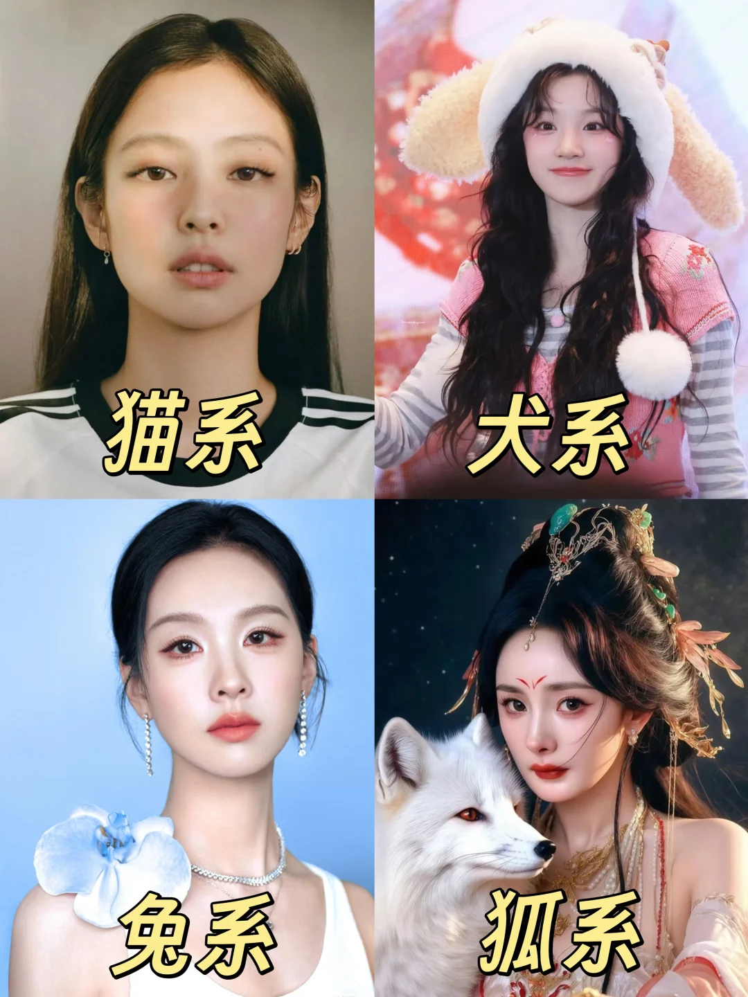 10S速测！看看你是哪种动物系女孩👀