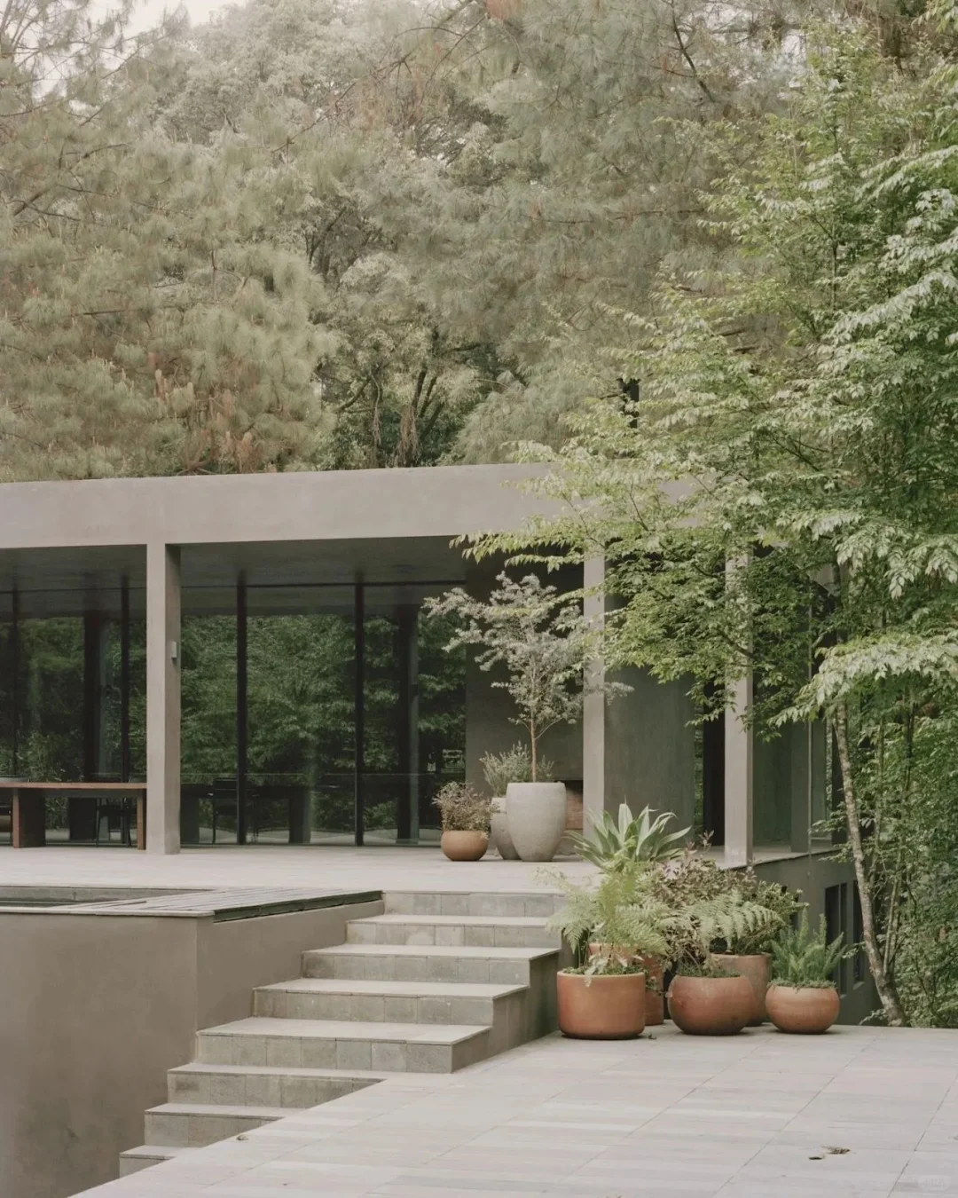 Copas House｜自然与流动｜
