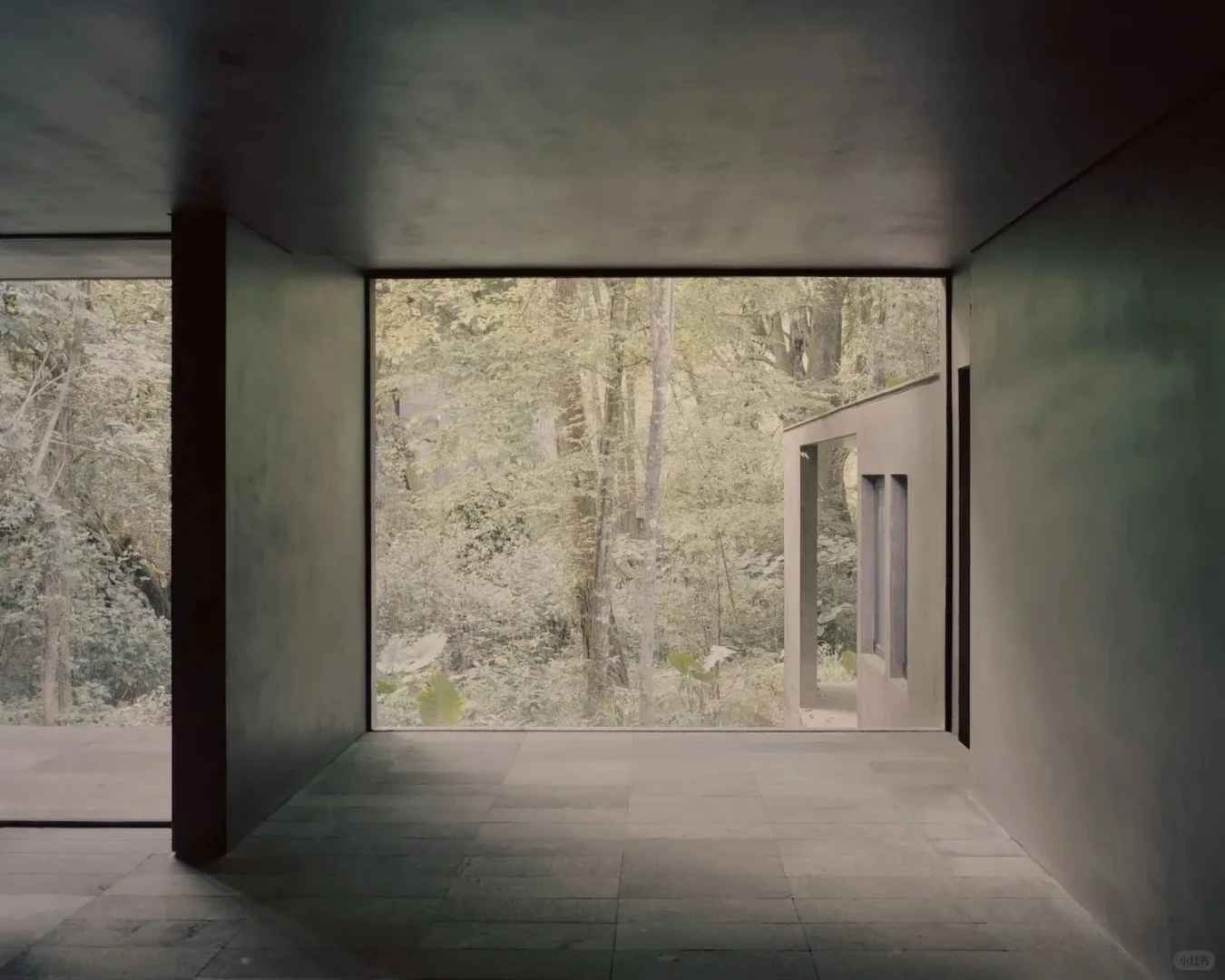 Copas House｜自然与流动｜