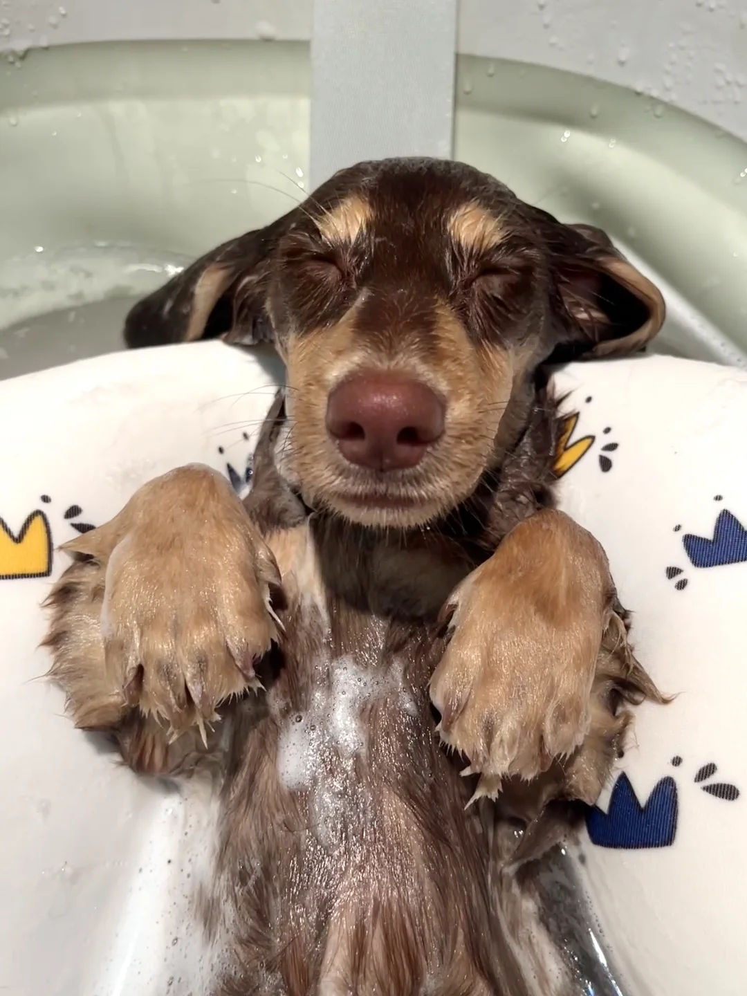 本公主沐浴照来也🛀