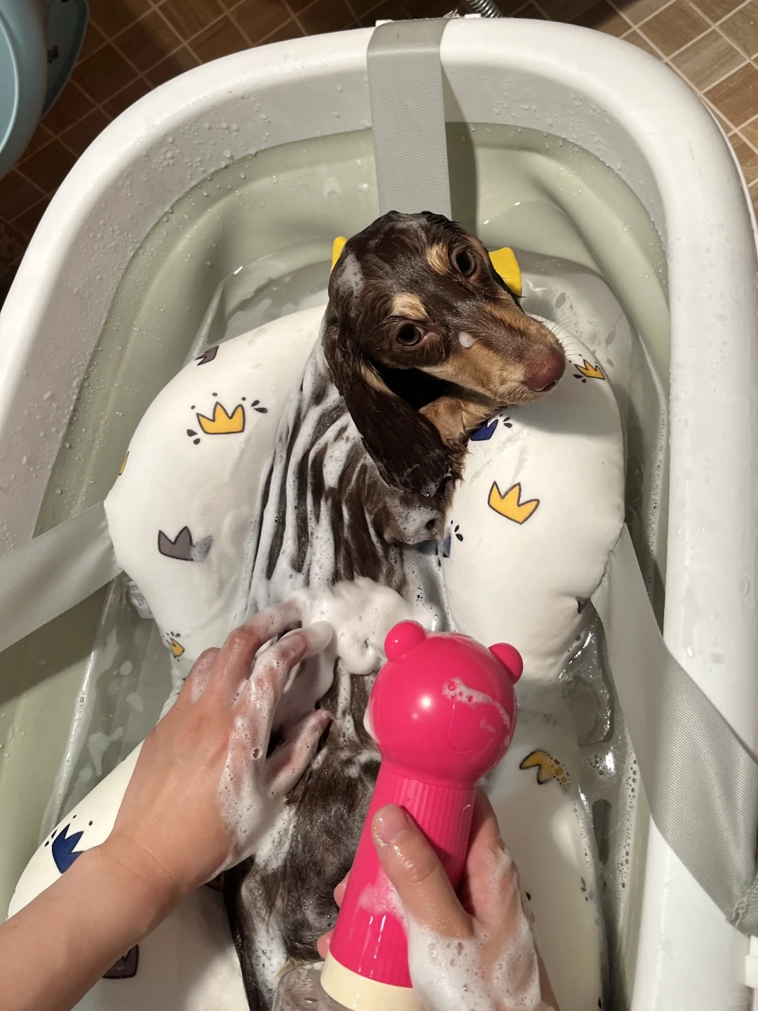 本公主沐浴照来也🛀