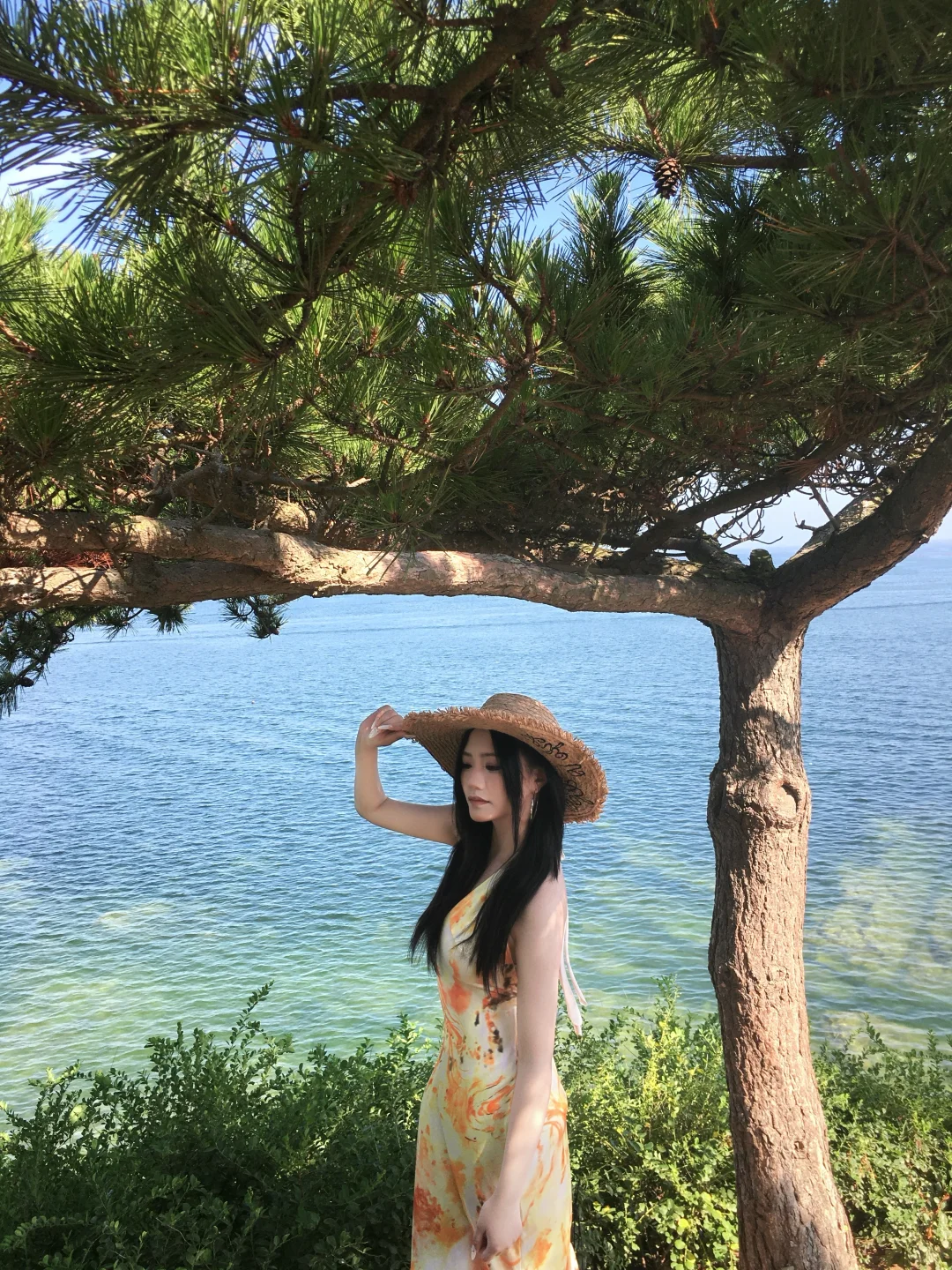 写封信告诉你，今天的海是什么颜色🌊