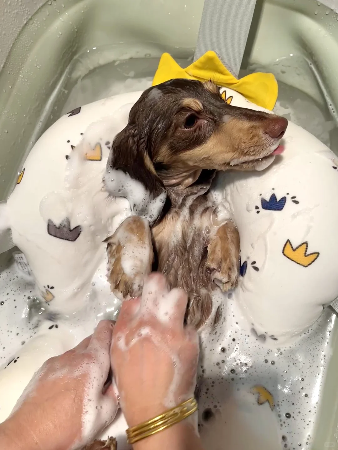 本公主沐浴照来也🛀