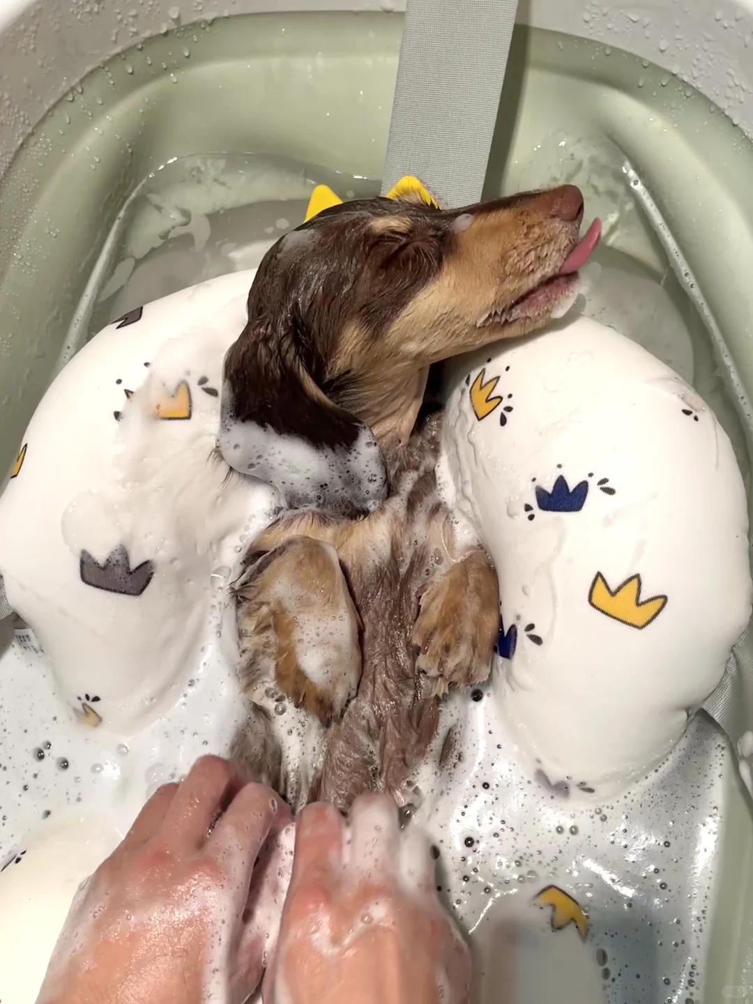 本公主沐浴照来也🛀