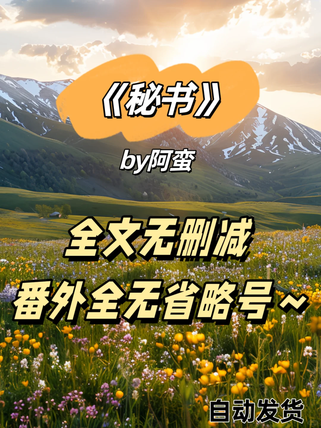《秘书》阿蛮，你给我去写言情小说吧！！！