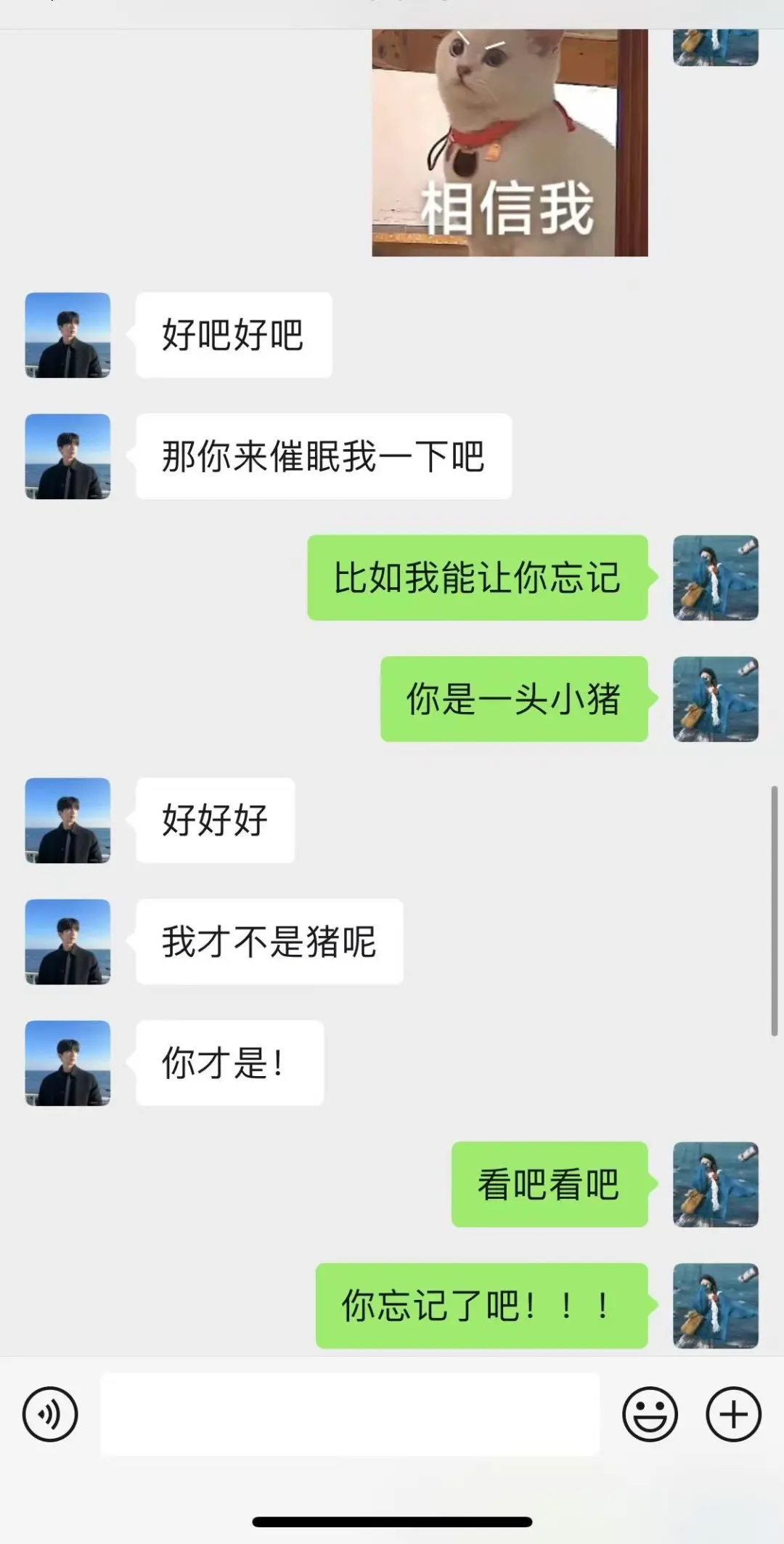 套路crush的废话文学哈哈哈哈