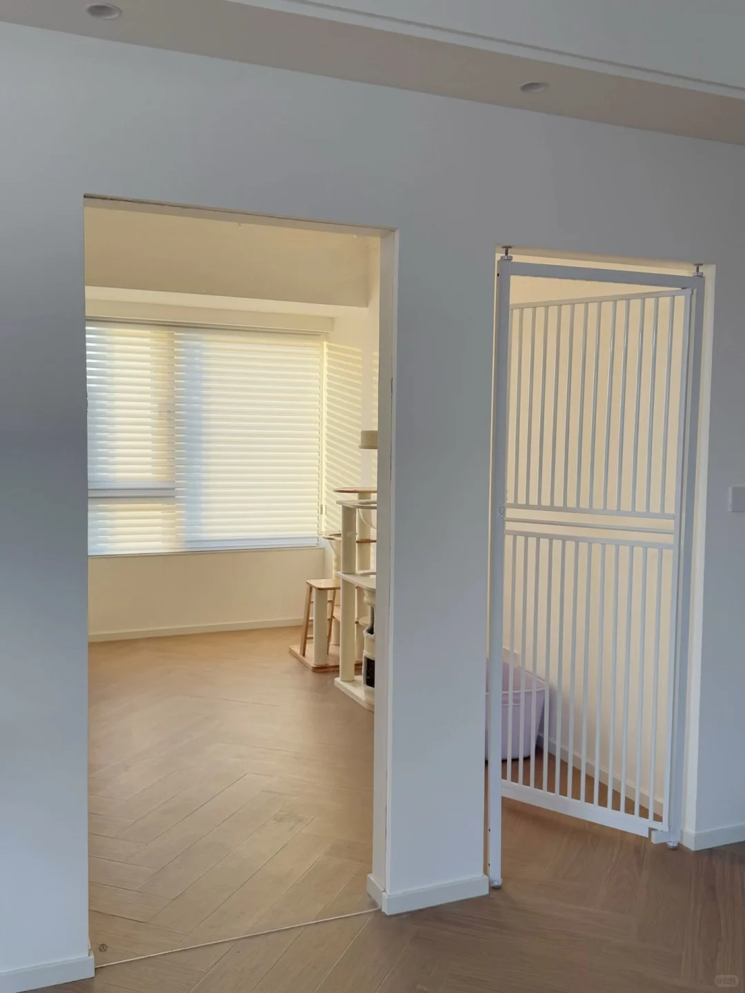 live转场｜15w硬装148㎡房子变成家🏠