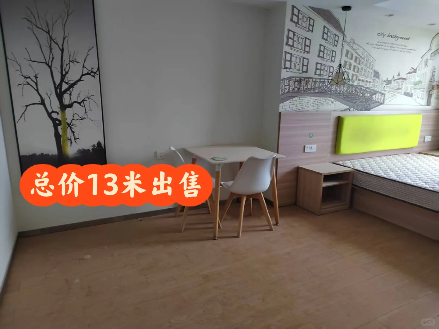 出售 电梯房 白菜价 总价13米