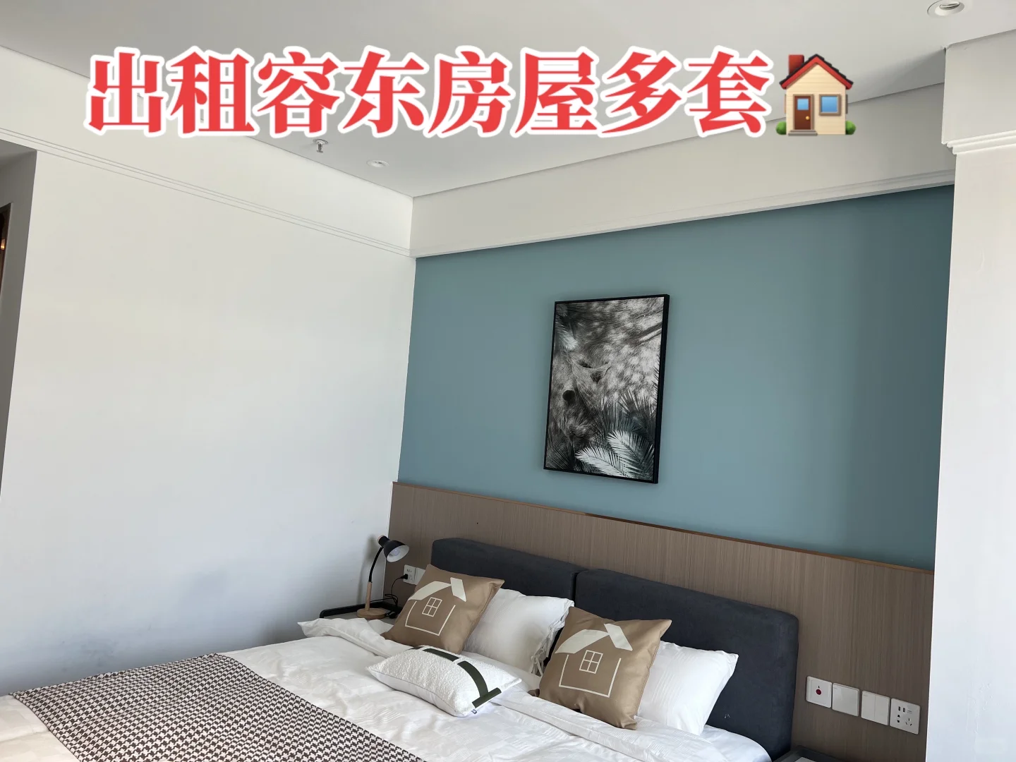 出租容东1-4居室房屋多套🏠