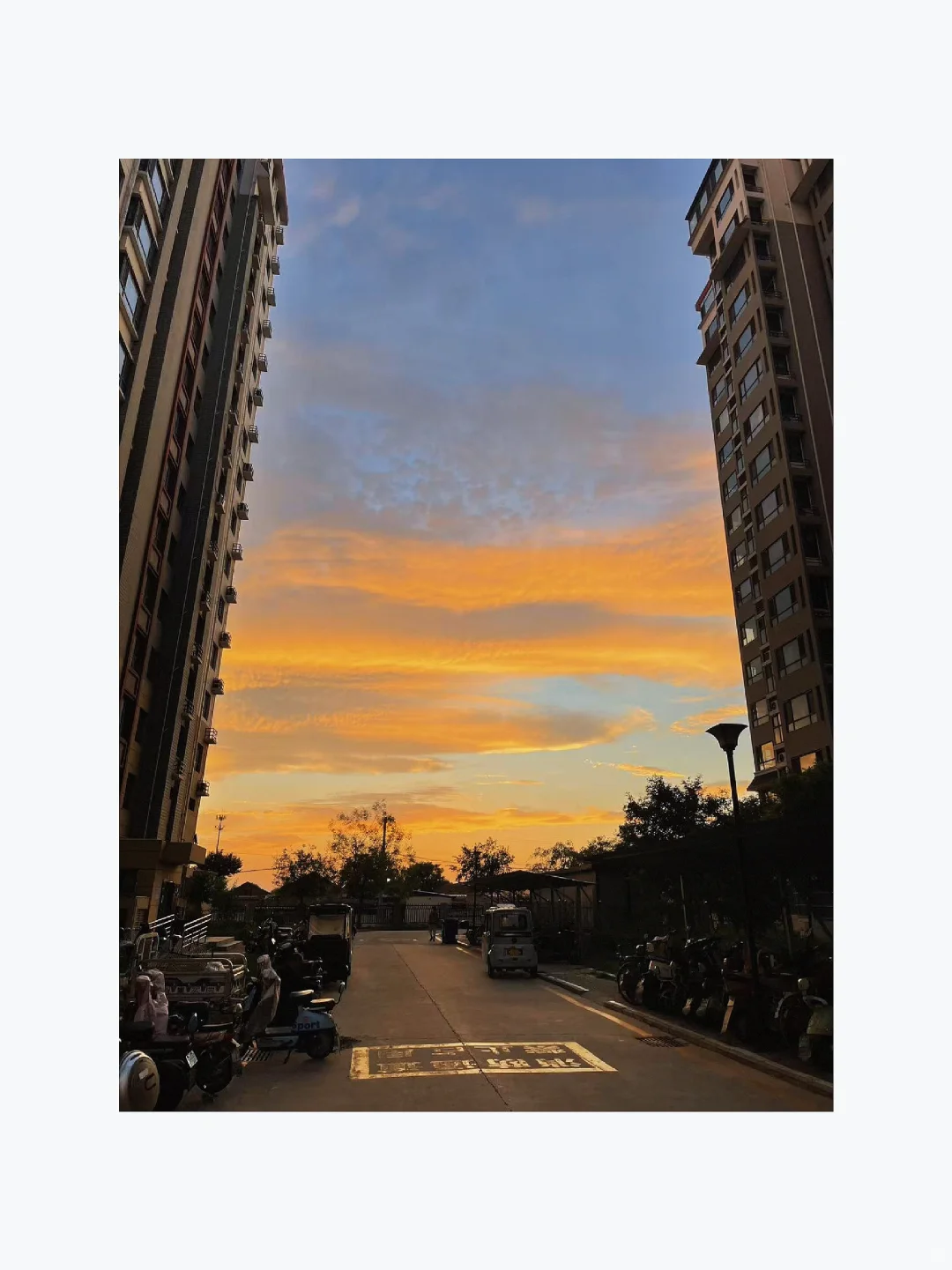 诚信出租 欢迎打扰🏠