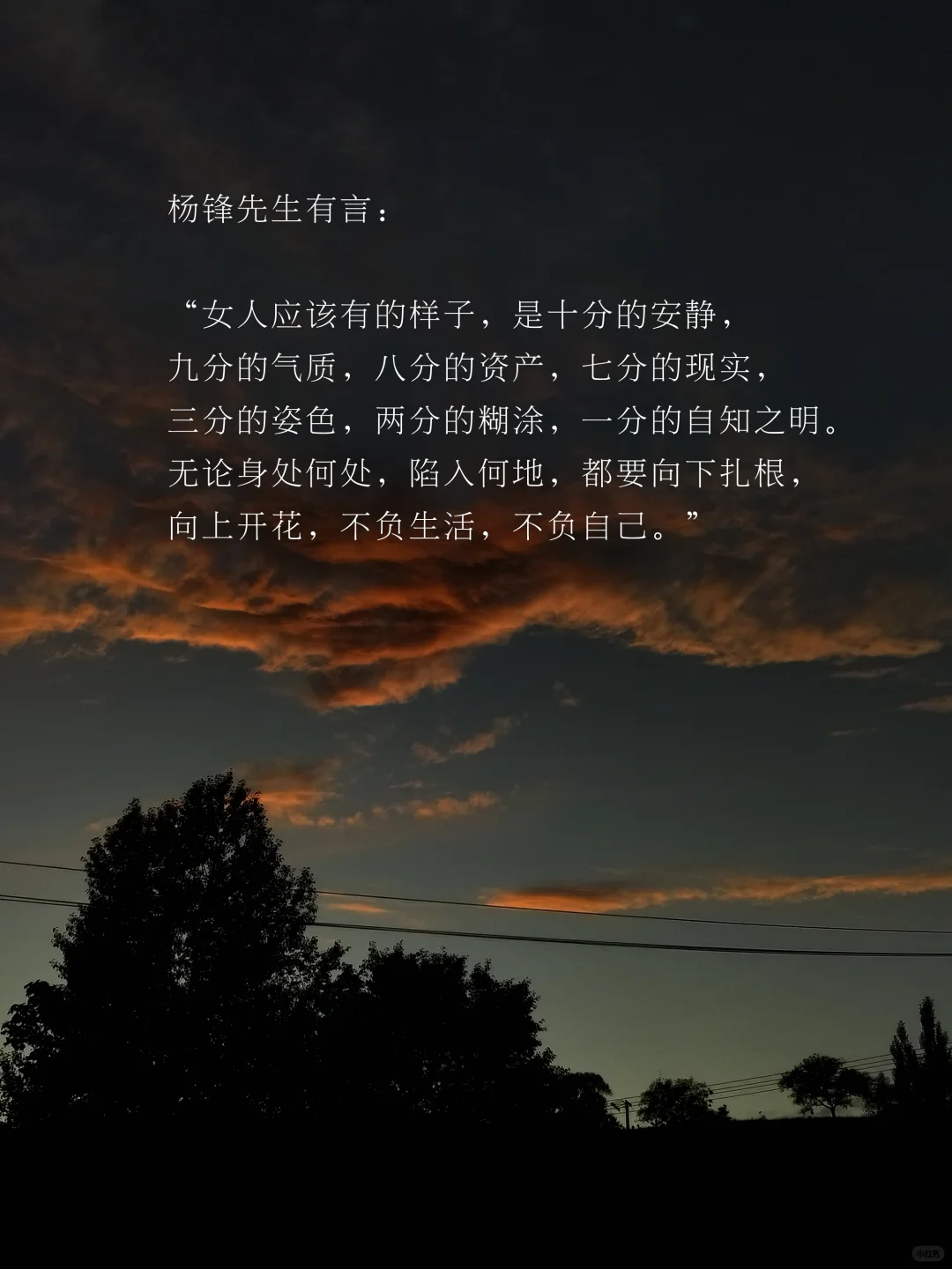 中年女性要是有了风骨，那便是天生尤物