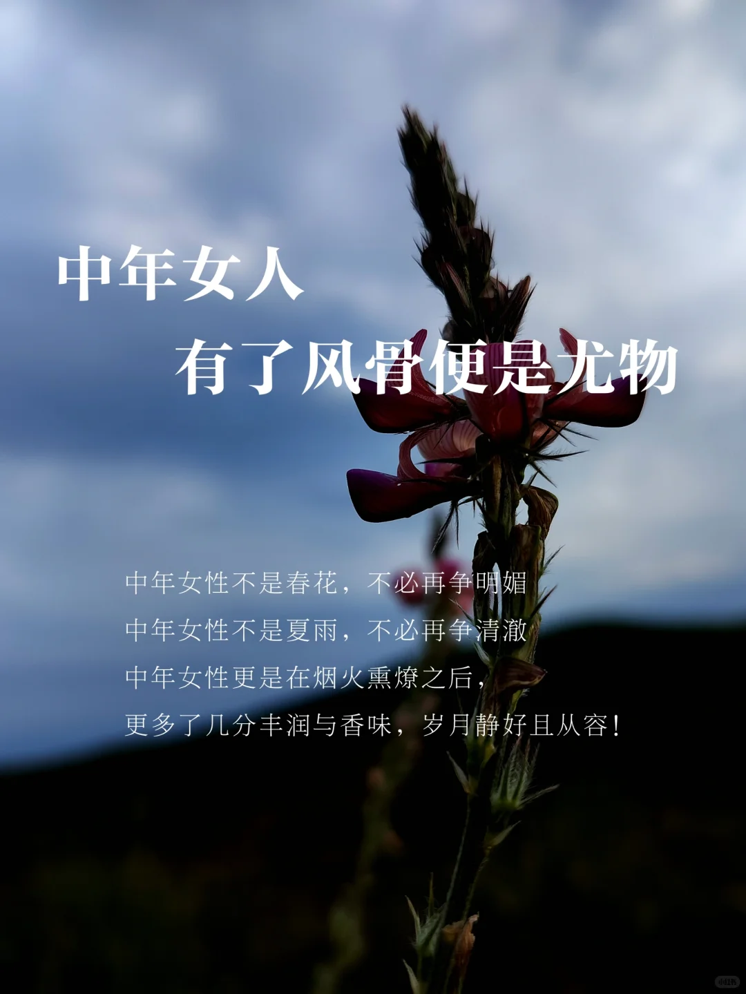 中年女性要是有了风骨，那便是天生尤物