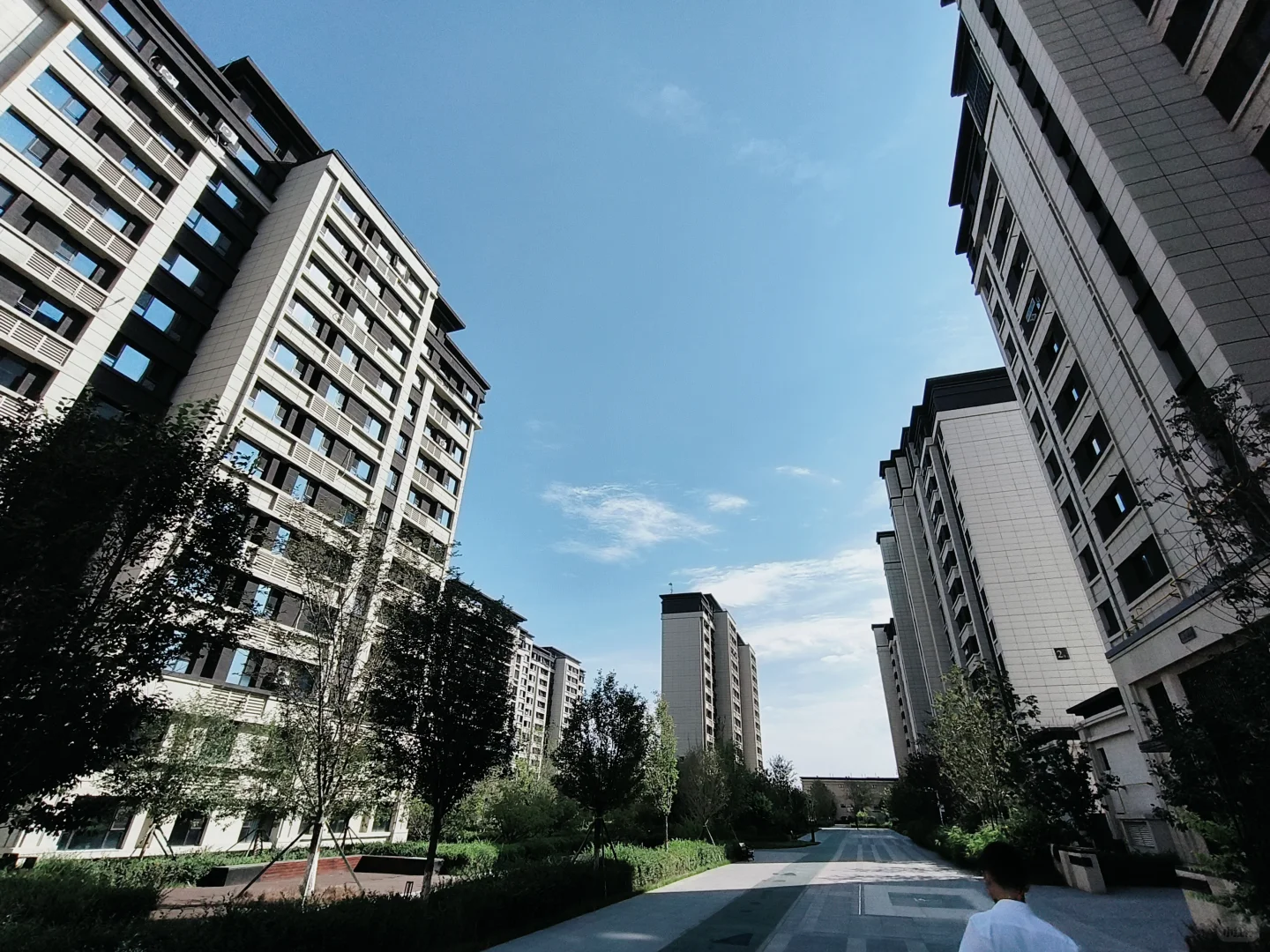 急出，🖐️付25W新市区北京路植物园洋房