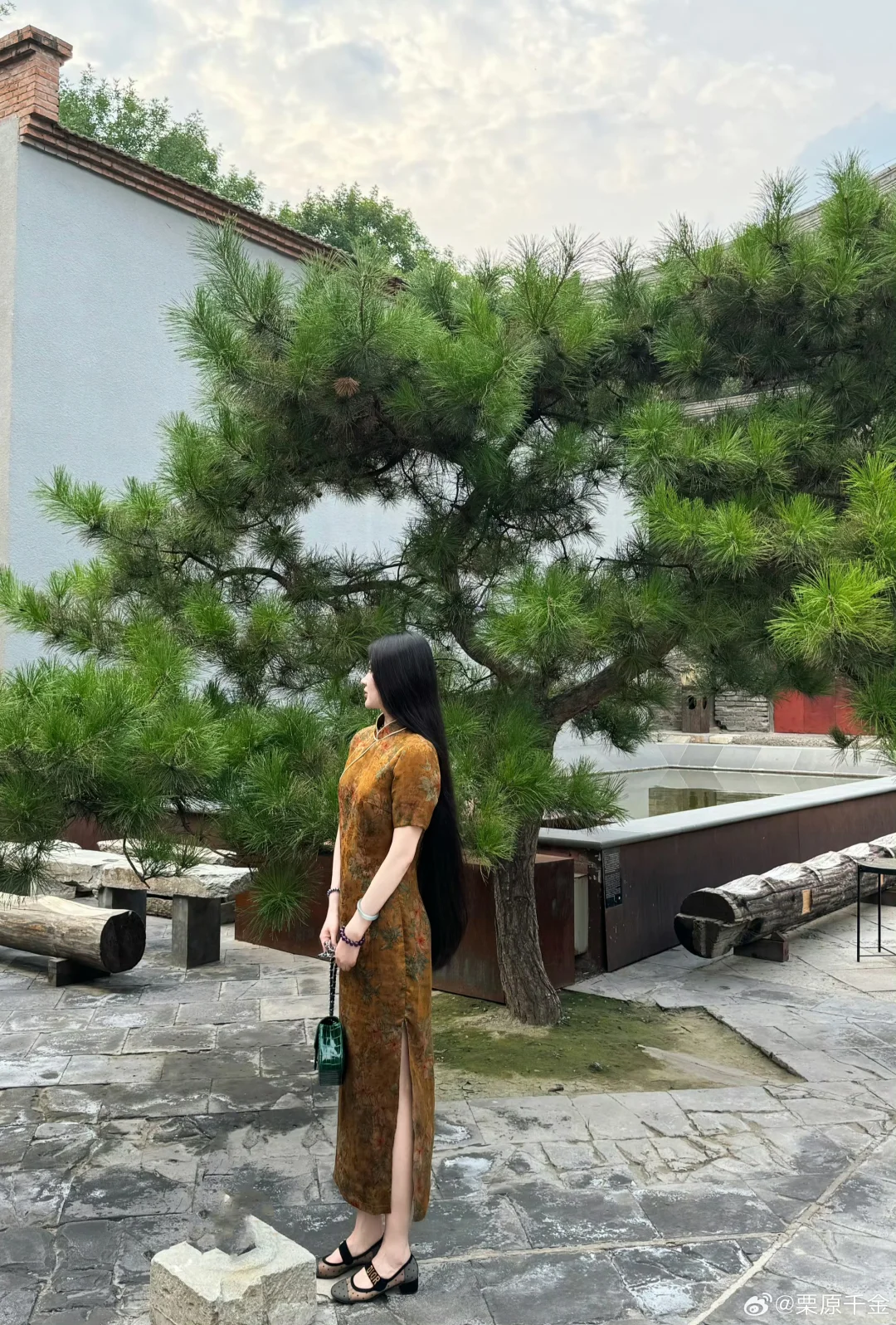 姝姝~