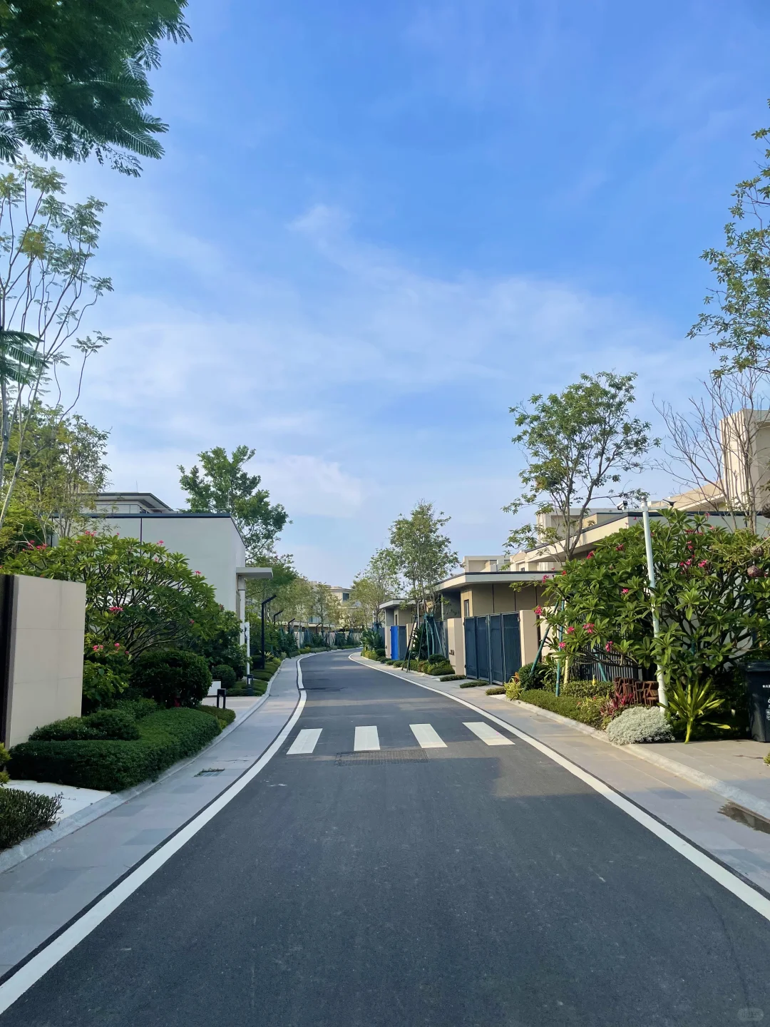 這真的是我夢想中的House
