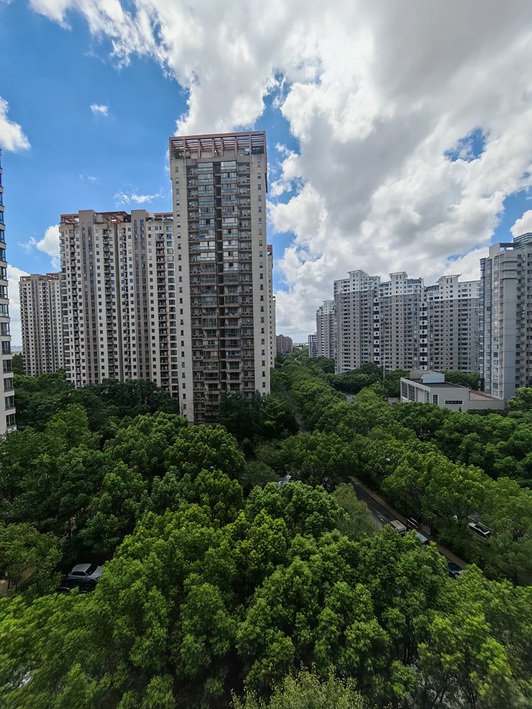 楼市到底怎么走