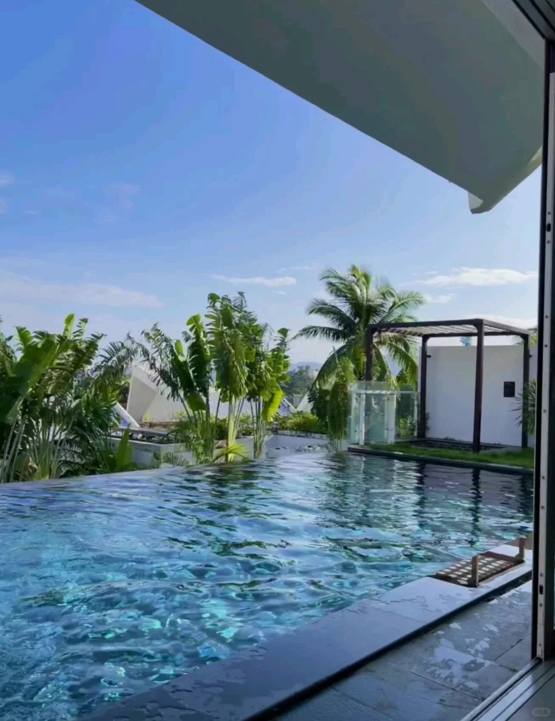 热带泳池的夏天🏝️💦