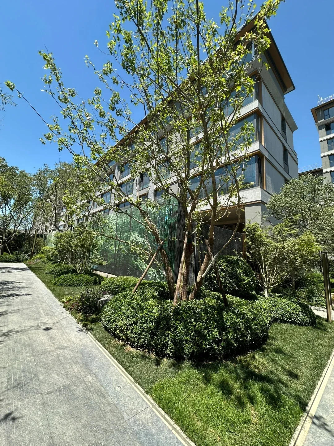 感谢天津房价，208没买 现155w买洋房🏠