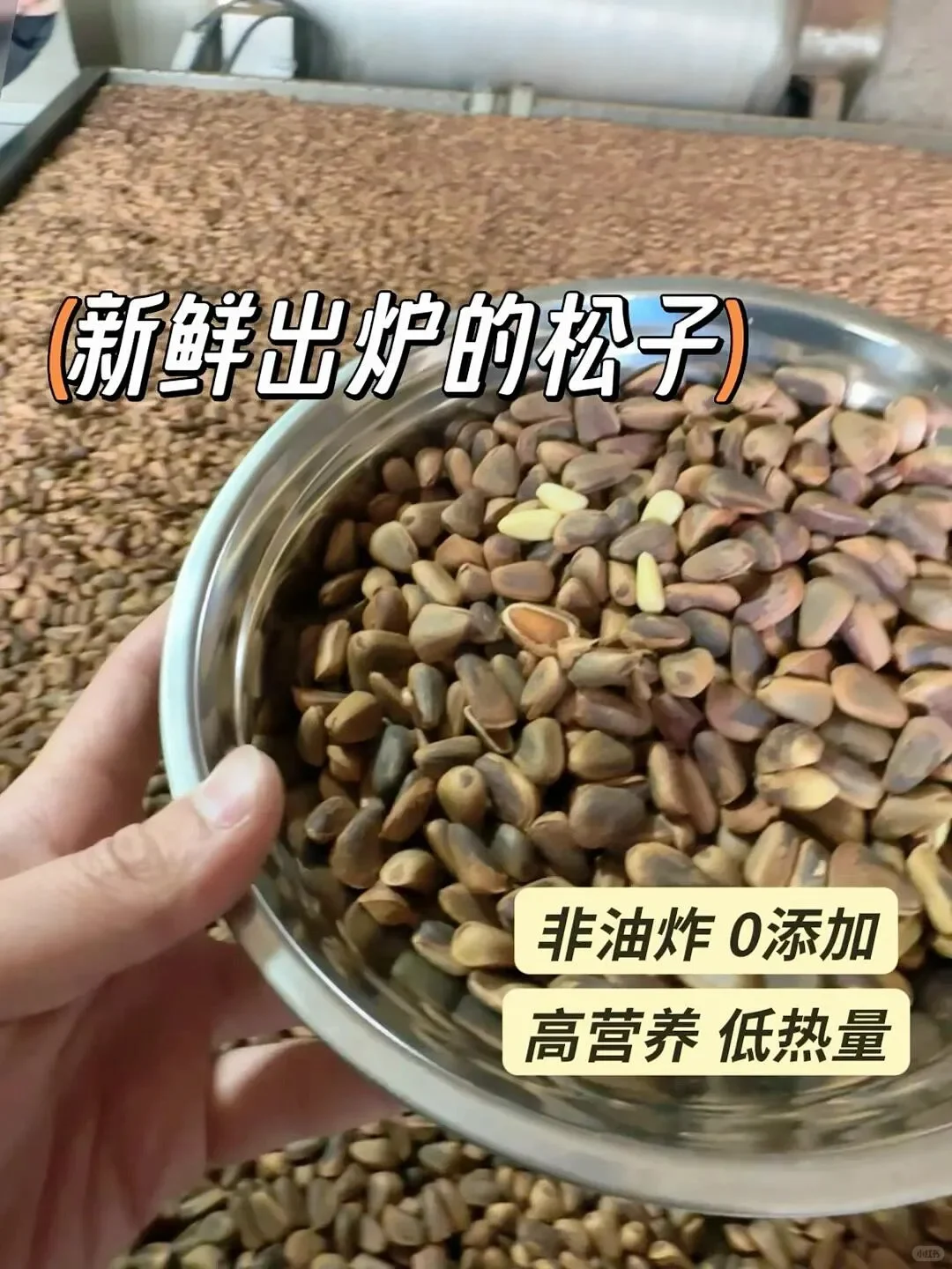 还有人求购松子？难道是我不够显眼吗？
