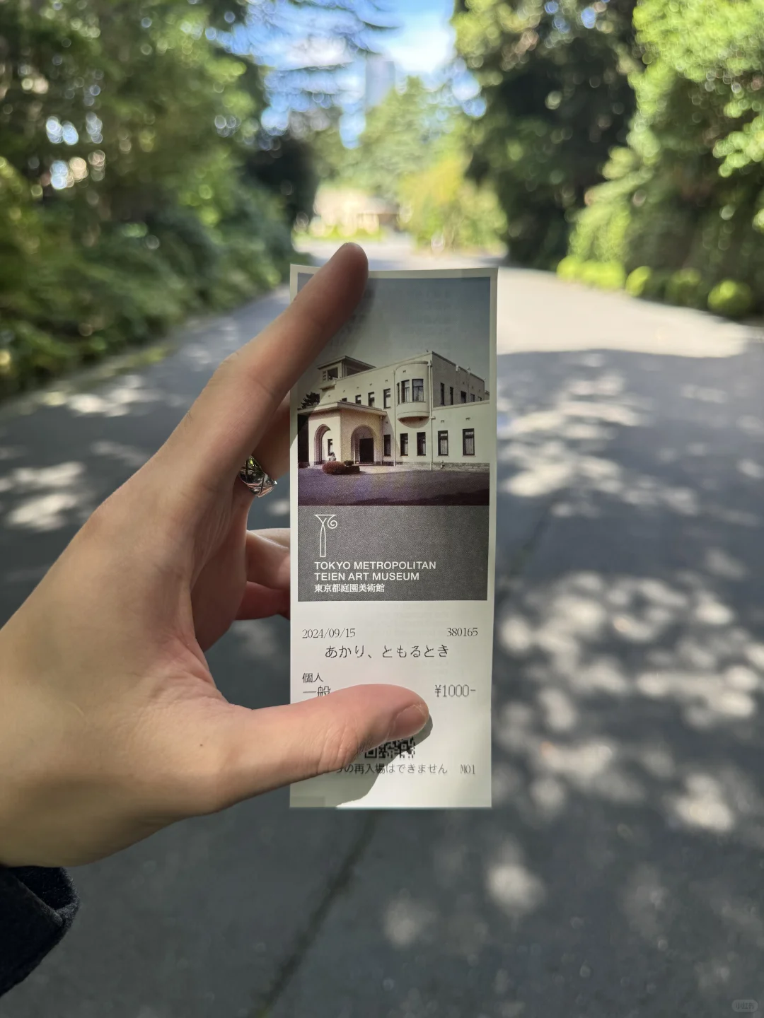 在审美高地散步：东京目黑
