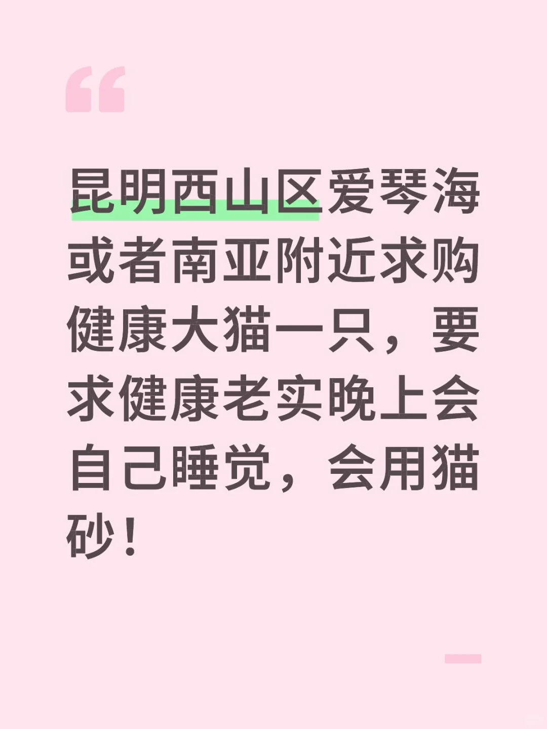昆明西山区求购大猫