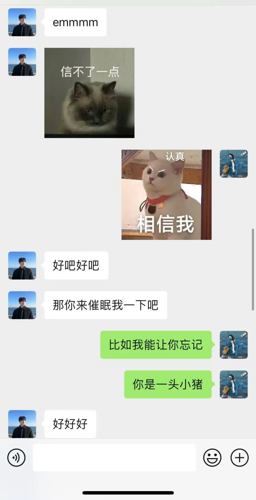 套路crush的废话文学哈哈哈哈