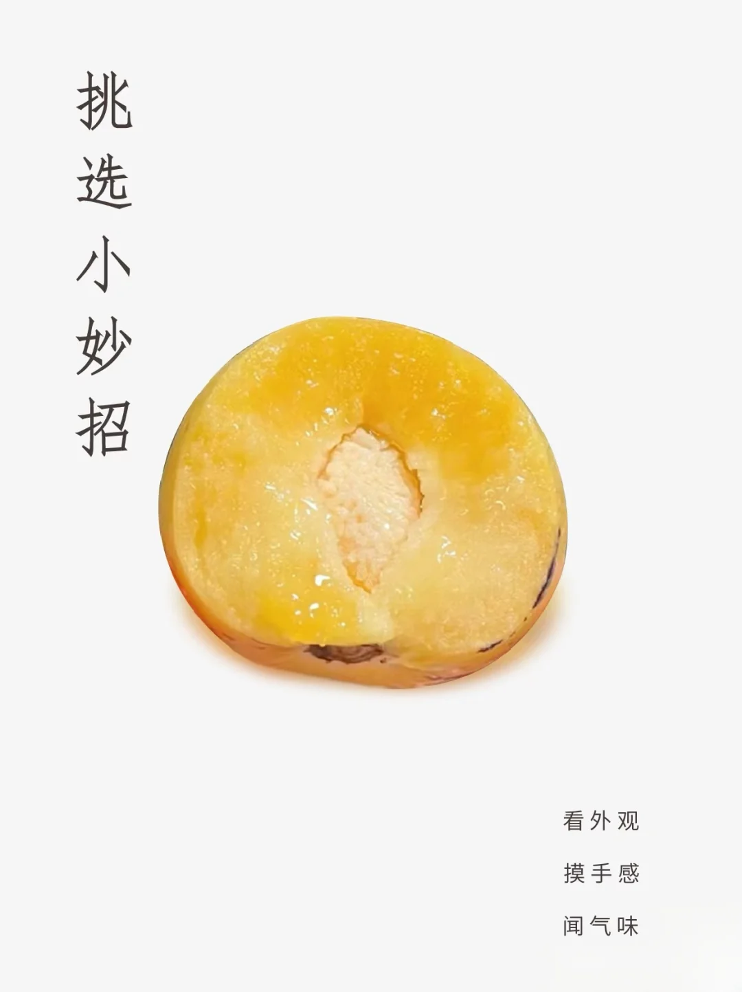 时令之美，季节限定