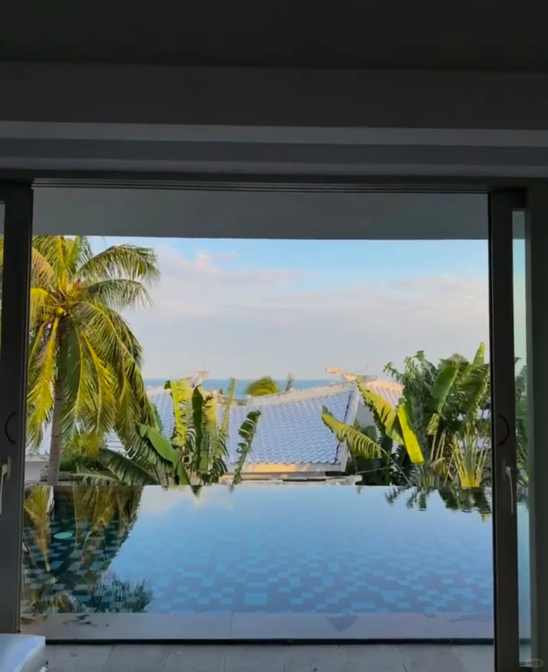 热带泳池的夏天🏝️💦