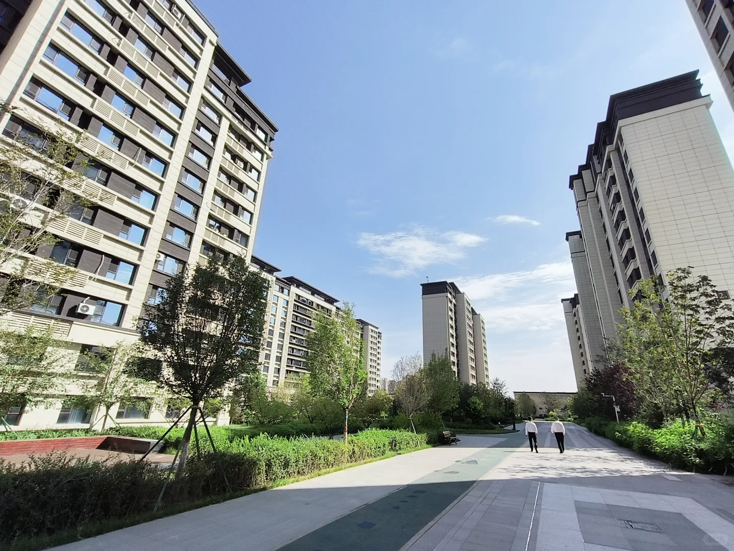急出，🖐️付25W新市区北京路植物园洋房