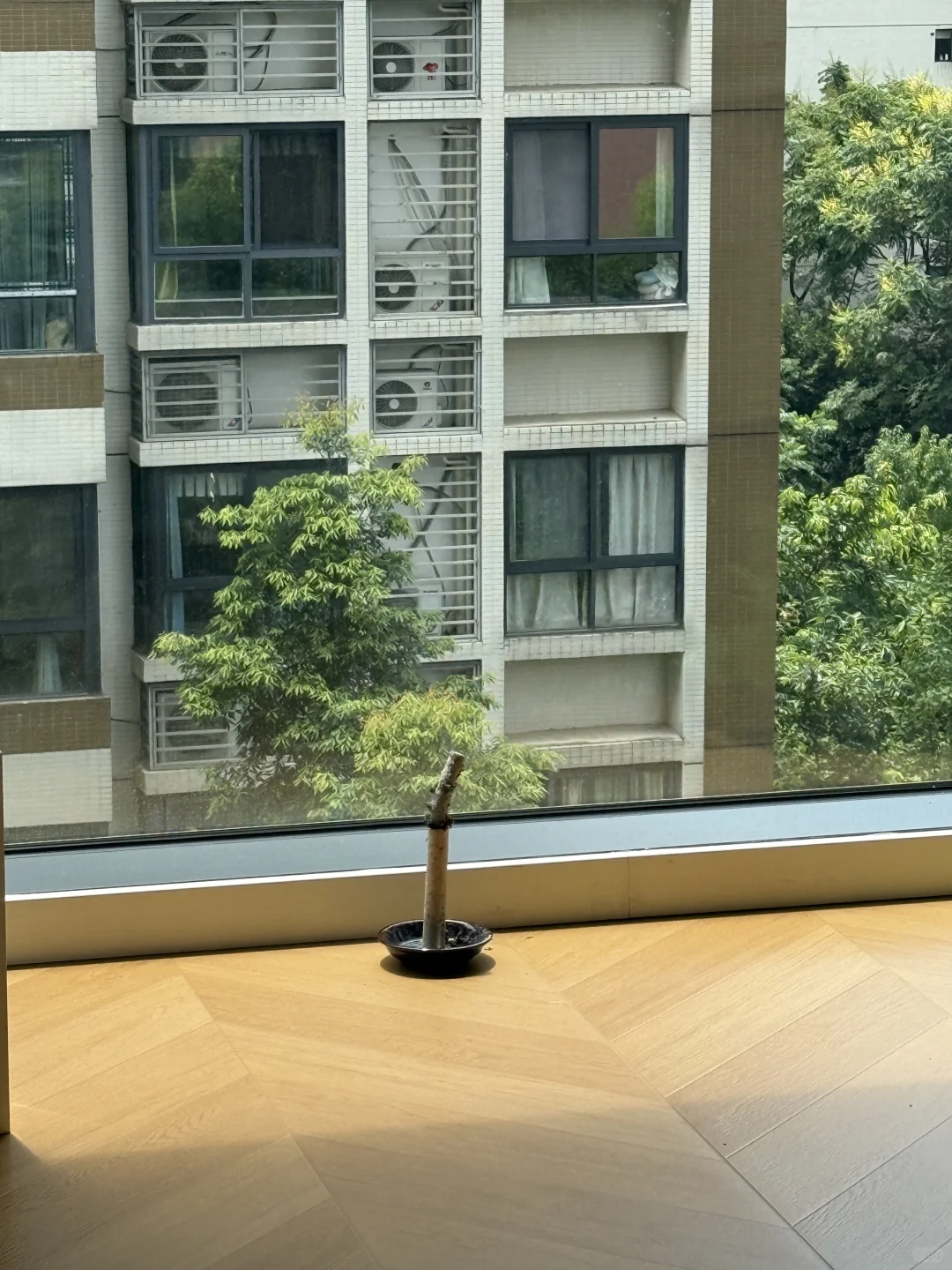 新房乔迁前一天，艾条净宅，附操作流程