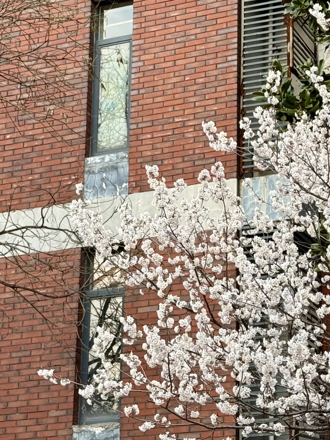 入住一年，感受老洋房的春夏秋冬