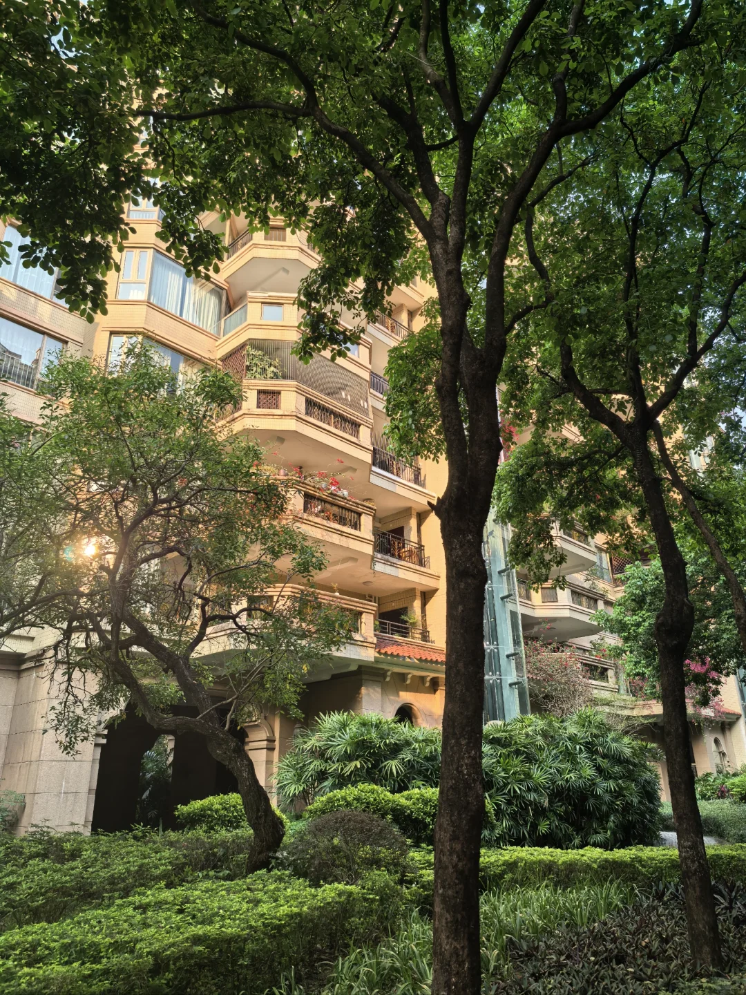 终于知道广州有钱人为什么不住珠江新城🧐