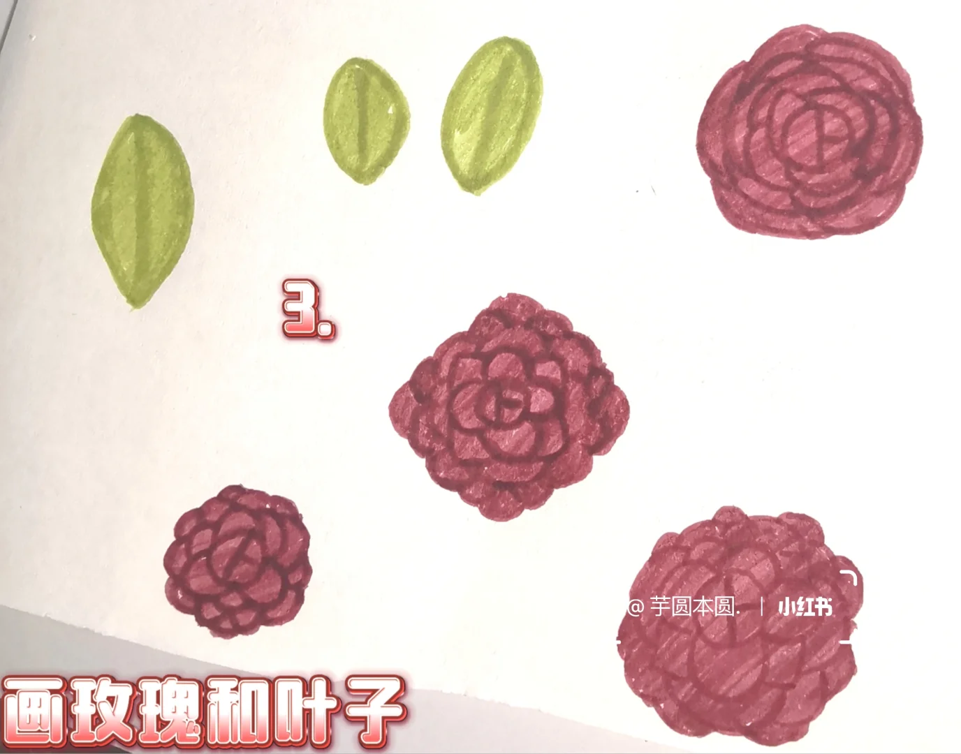 玫暖娇艳 手绘小卡教程来了🌹