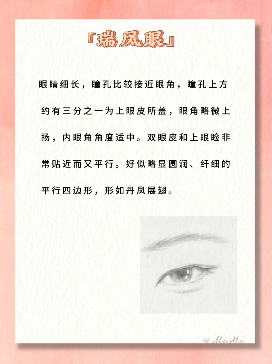 小说常见的11种眼睛类型🔥图解❗写作素材