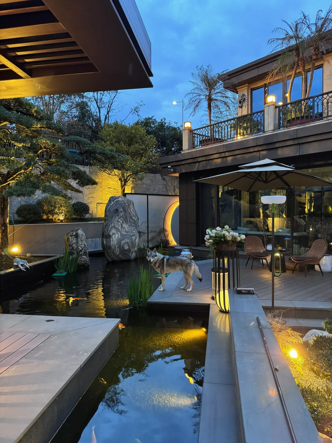 我家庭院的年度18图🏡