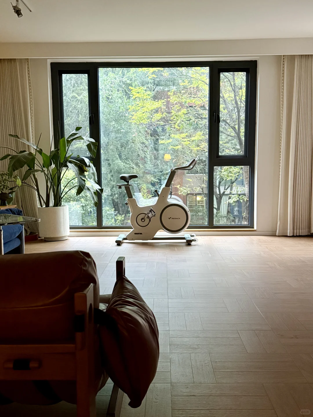 入住一年，感受老洋房的春夏秋冬