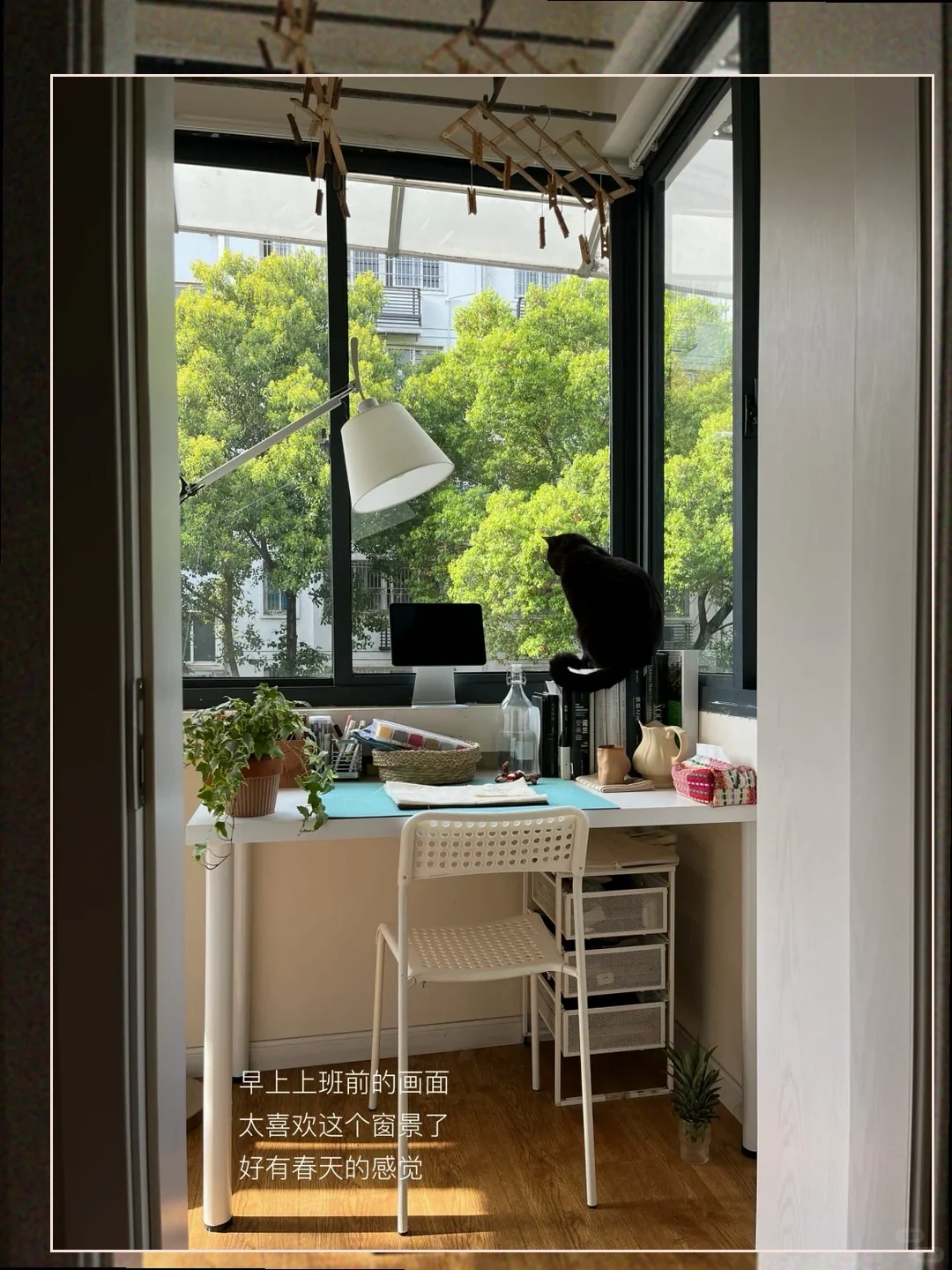 租房心路历程｜我的满意居住秘籍大公开🏠