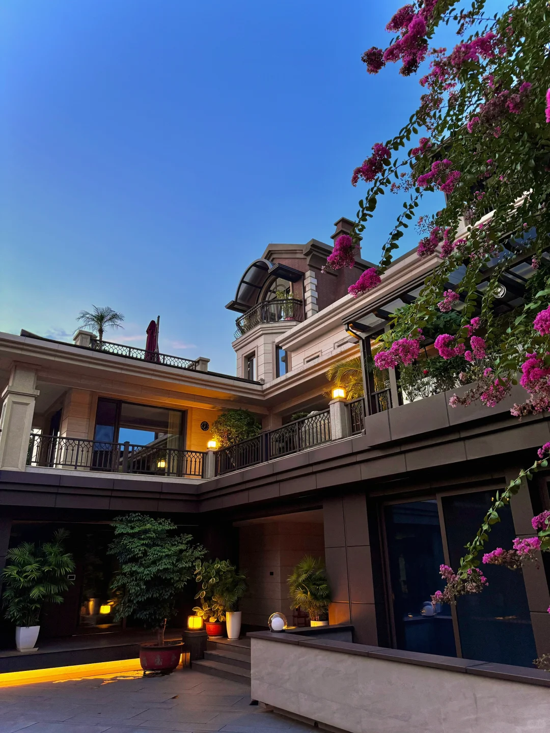 我家庭院的年度18图🏡