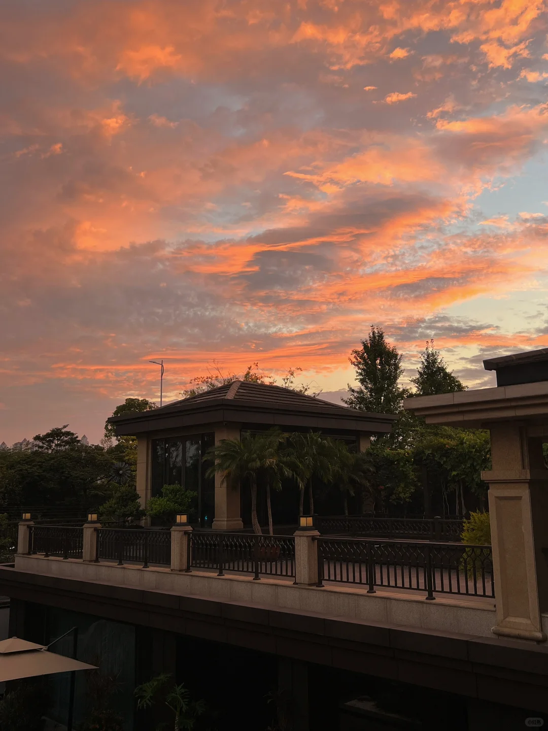 我家庭院的年度18图🏡