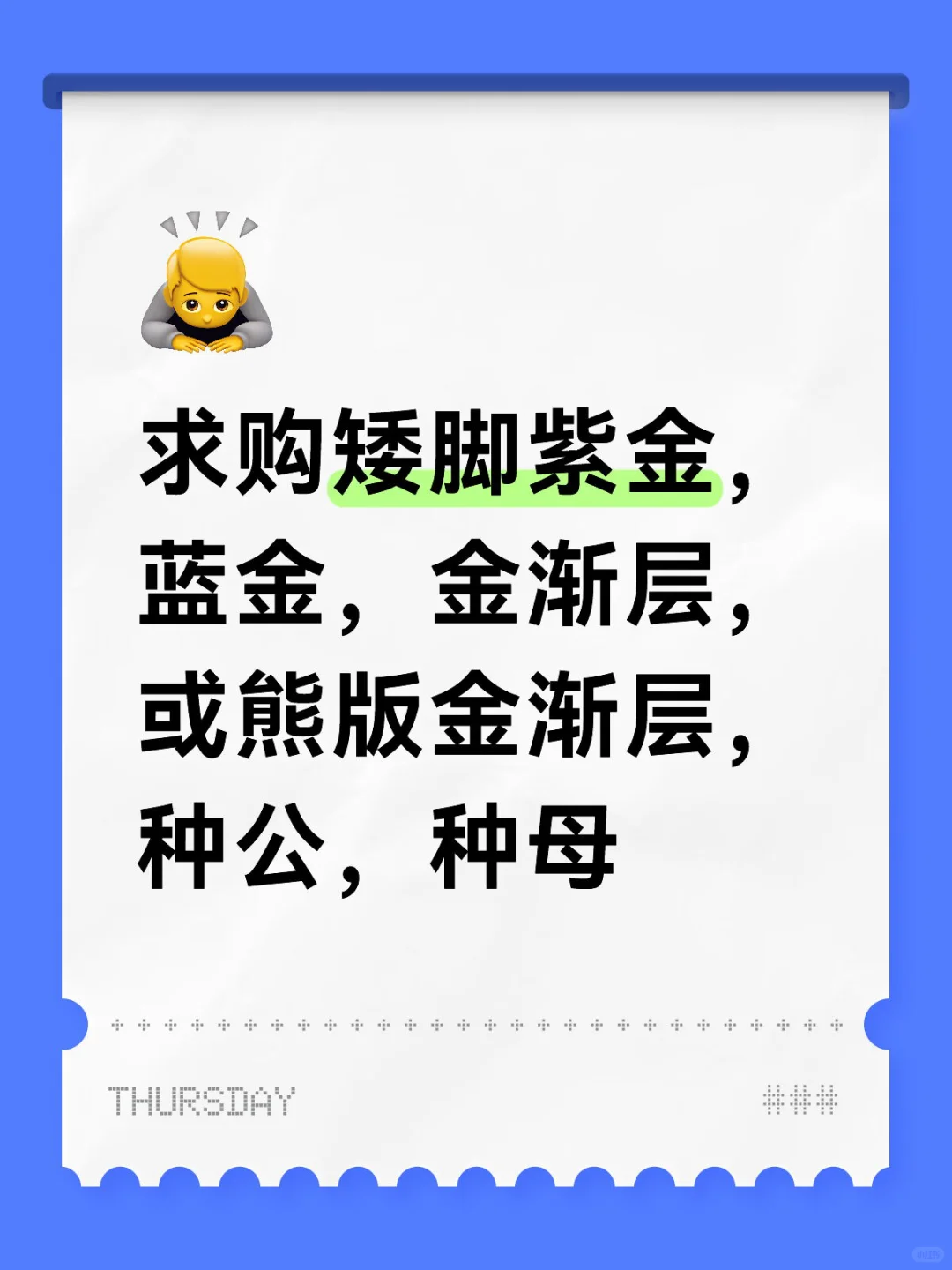 求购金渐层