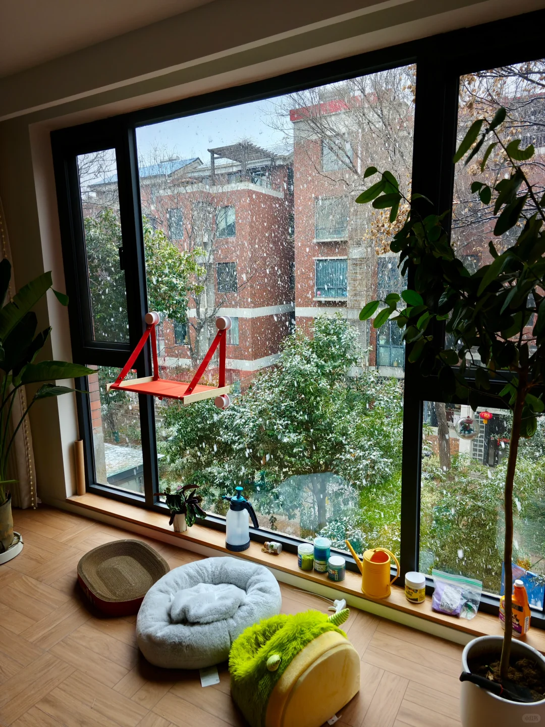 入住一年，感受老洋房的春夏秋冬