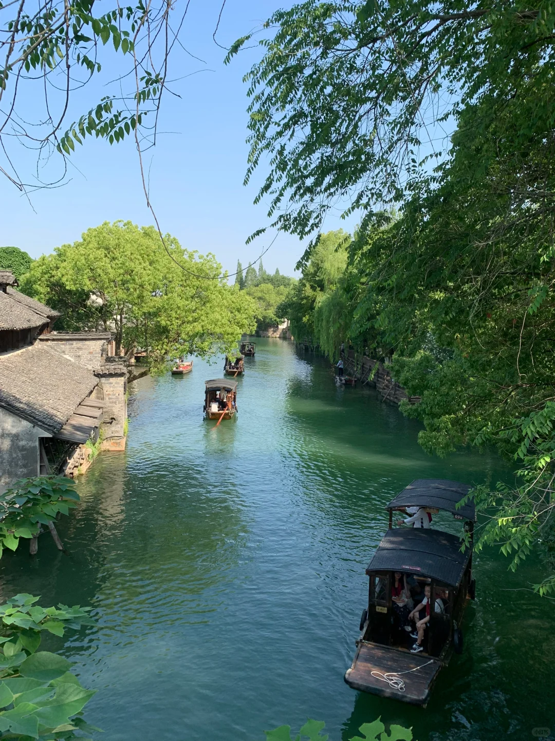 “待到夏日有蝉鸣，与君共赴真江南”