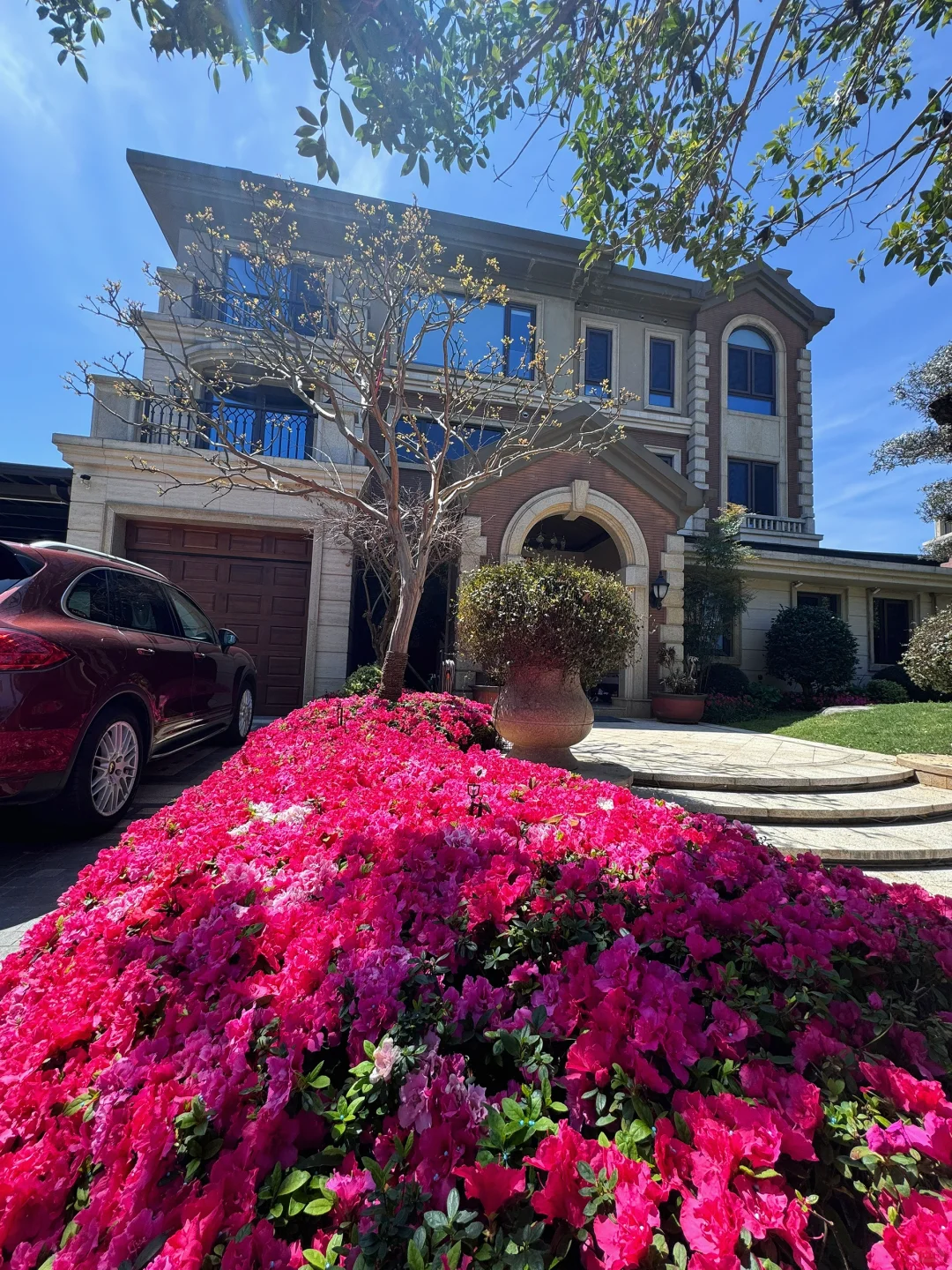 我家庭院的年度18图🏡