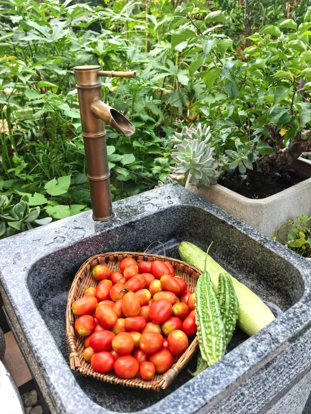 11层洋房一楼带院，数万网友的梦中情房🏠