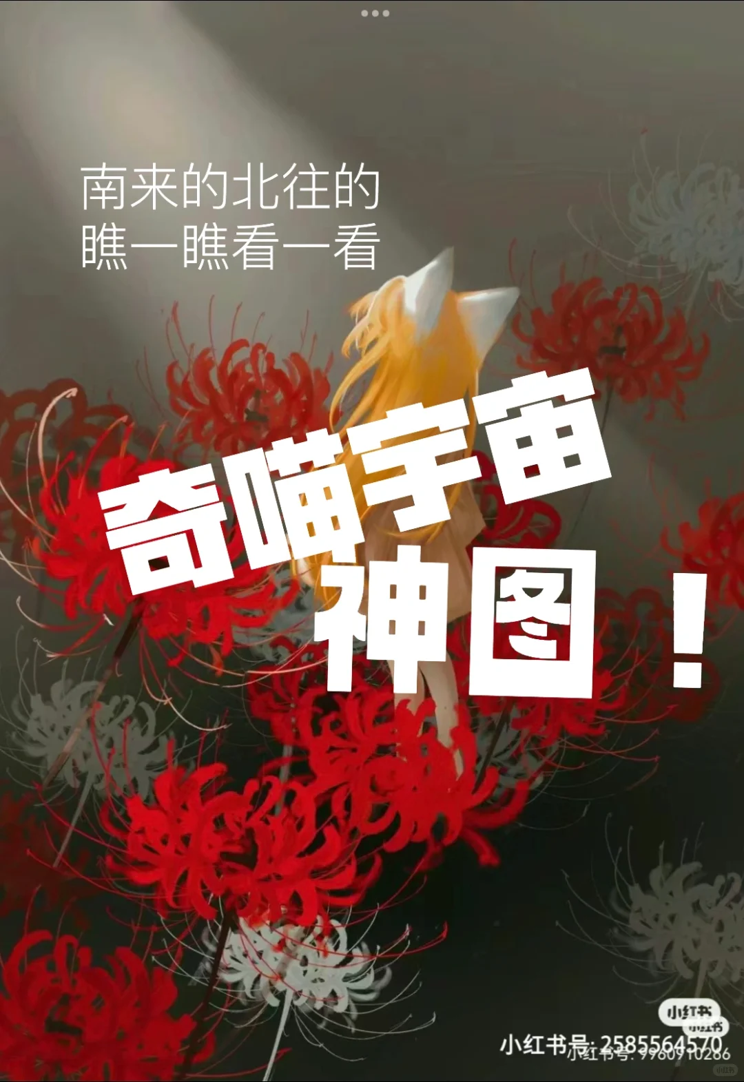 奇喵宇宙神图！