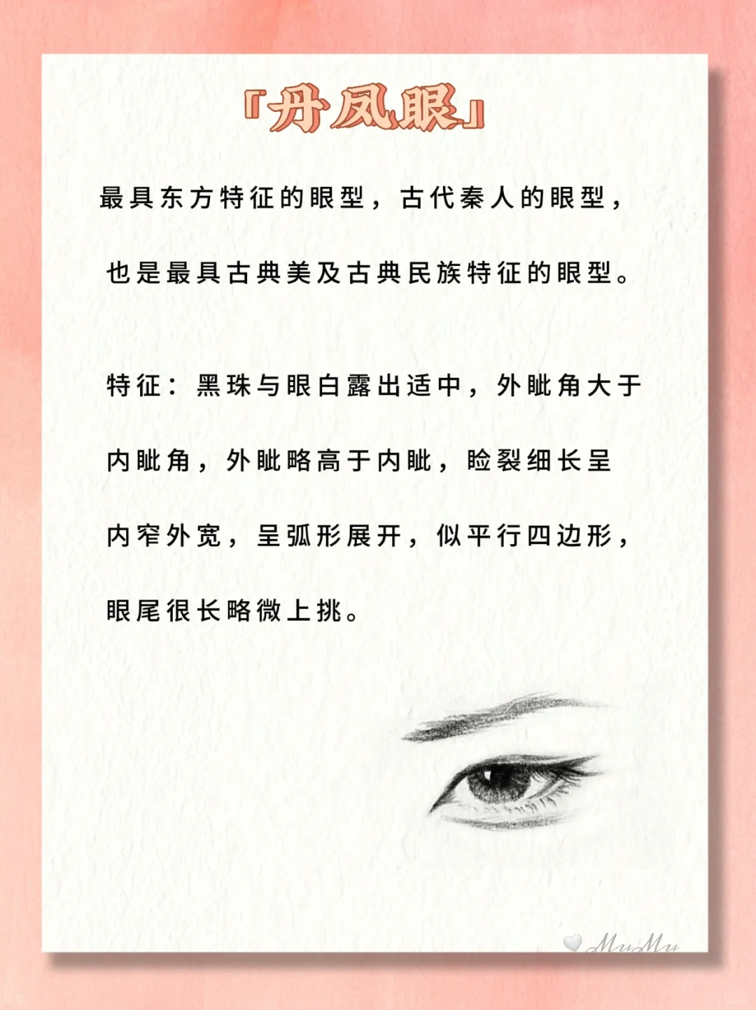 小说常见的11种眼睛类型🔥图解❗写作素材