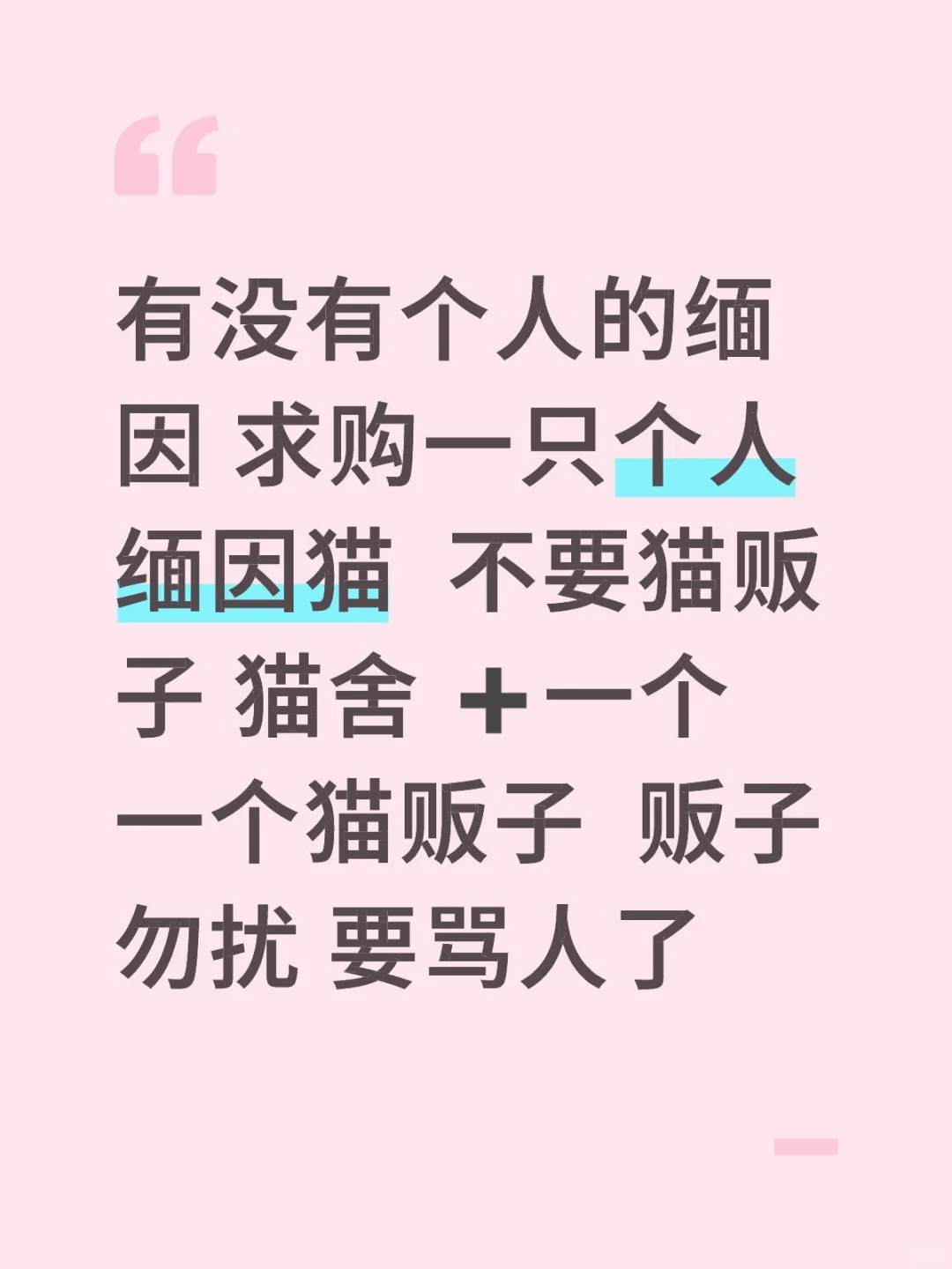求购一只个人缅因 贩子勿扰 会骂人