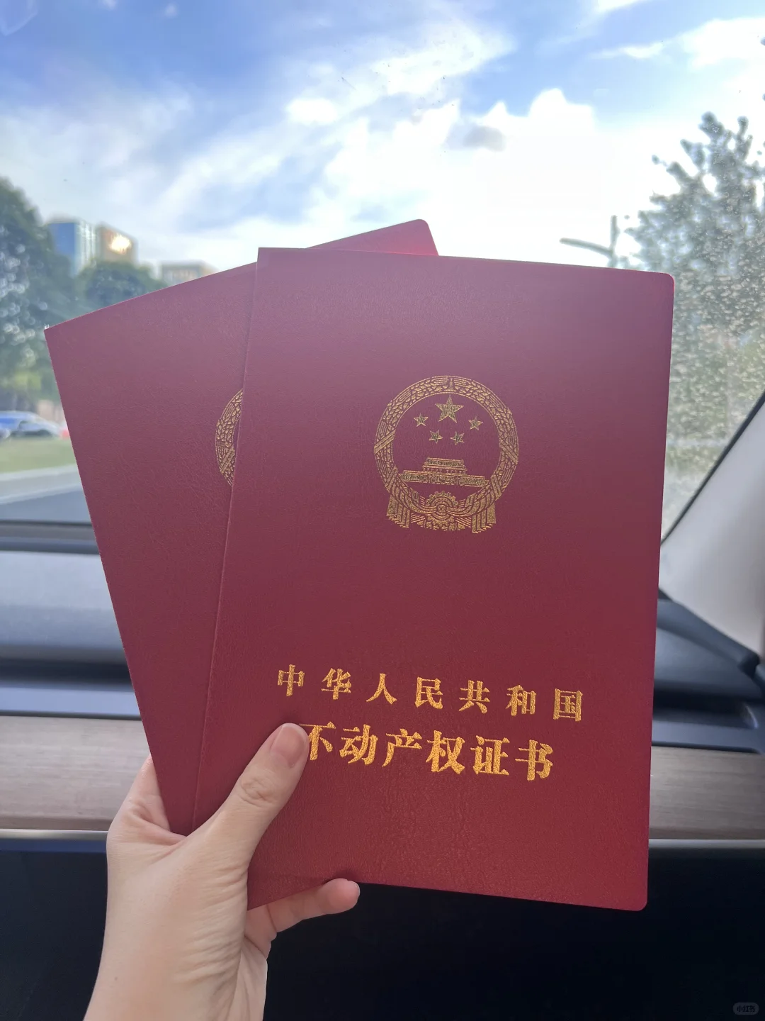 看了100多套房，终于下手了！附买房攻略📝
