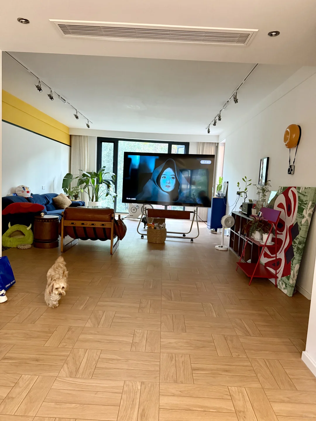 入住一年，感受老洋房的春夏秋冬